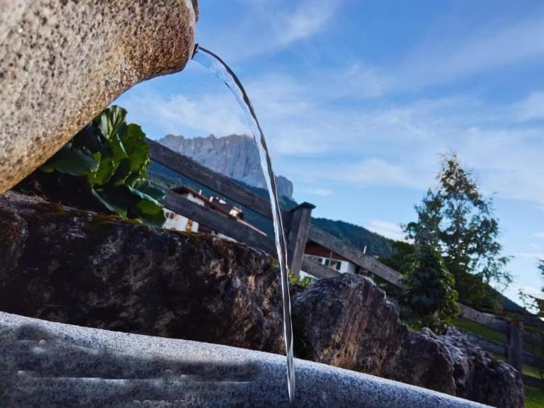 Garni Hotel Iris Сельва-ди-Валь-Гардена Экстерьер фото